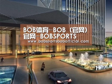 案例展示二