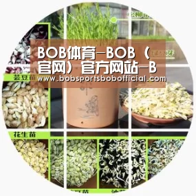 BOB体育-BOB(官网)官方网站-BOBSPORTS直播:制造业要素分类与转型升级策略选择(图3) BOB体育-BOB(官网)官方网站-BOBSPORTS下载