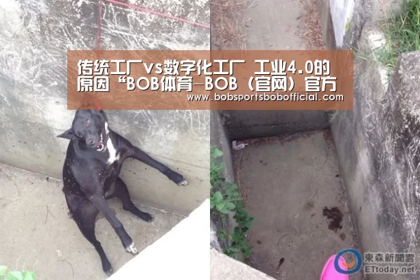 传统工厂vs数字化工厂 工业4.0的原因“BOB体育-BOB(官网)官方网站-BOBSPORTS下载”(图3) BOB体育-BOB(官网)官方网站-BOBSPORTS