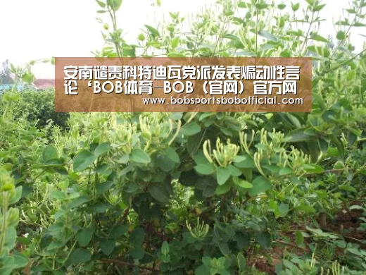 安南谴责科特迪瓦党派发表煽动性言论‘BOB体育-BOB(官网)官方网站-BOBSPORTS’(图1) BOB体育-BOB(官网)官方网站-BOBSPORTS直播